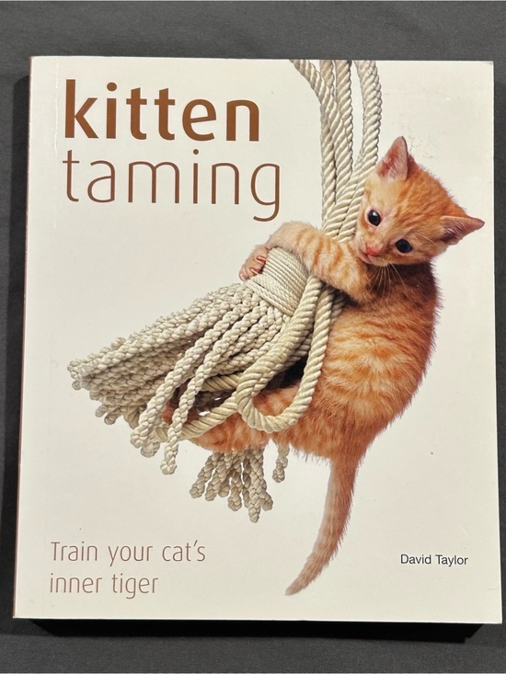 Kitten Taming: Train Your Cats Inner Tiger by David Taylor Paperback Book